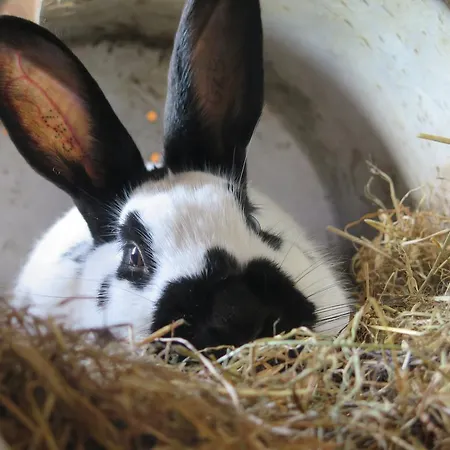 Bed and Breakfast Nymarksminde