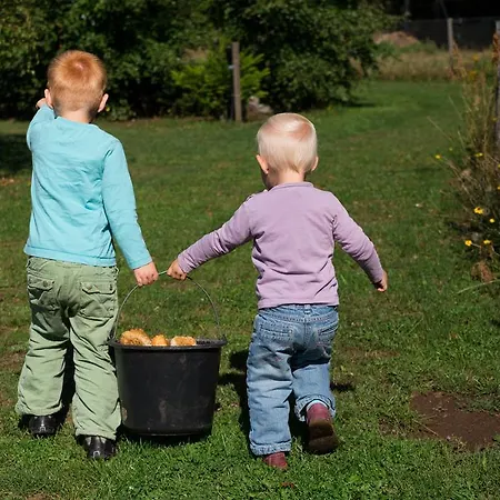 Nymarksminde Bed and Breakfast Vodskov