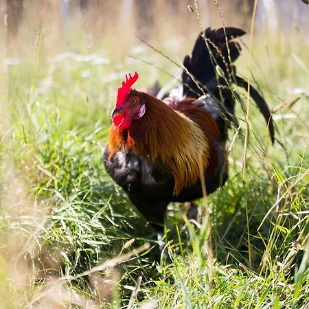 Nymarksminde Bed and Breakfast