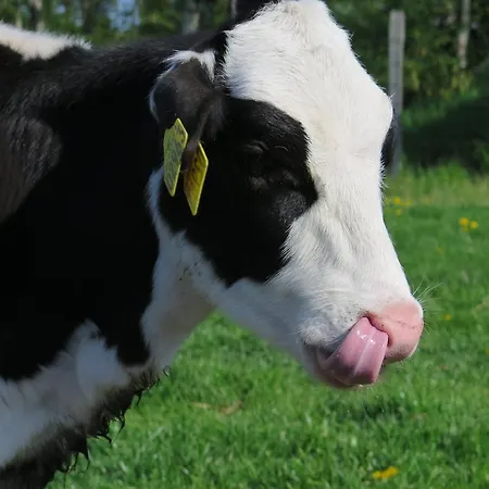 לינה וארוחת בוקר Nymarksminde 3*