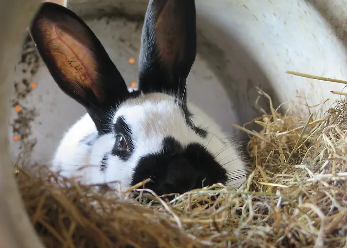 Bed & Breakfast Nymarksminde