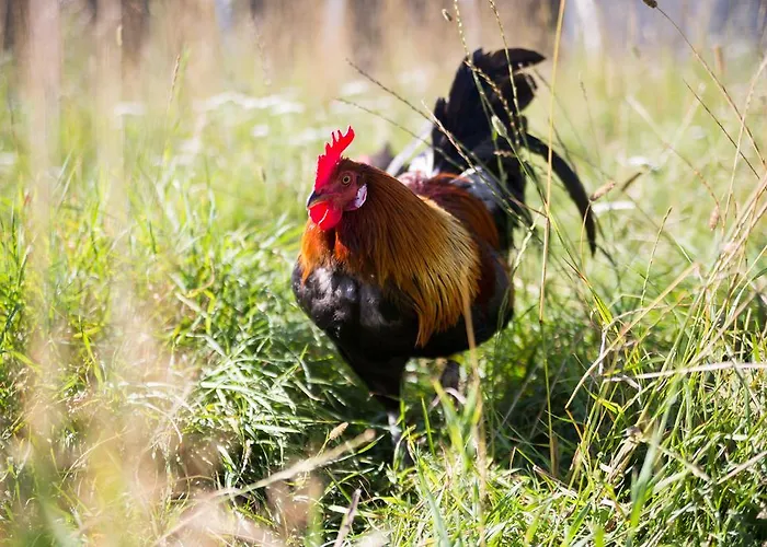 Nymarksminde Bed & Breakfast