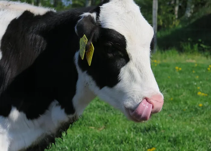 Bed & Breakfast Nymarksminde 3*